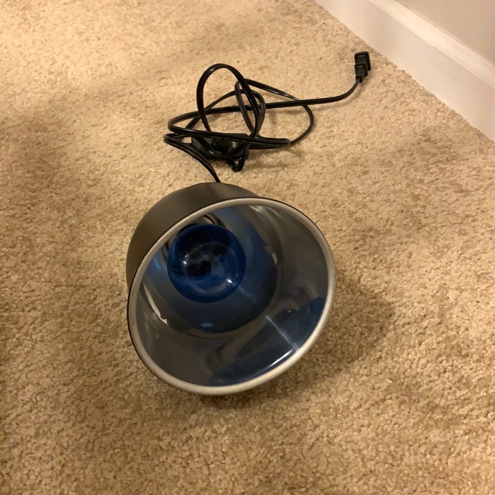 Lamp for reptile